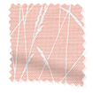 ティモシーグラス　ブラッシュ ロールスクリーン サンプルの写真