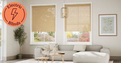 Bamboo roller