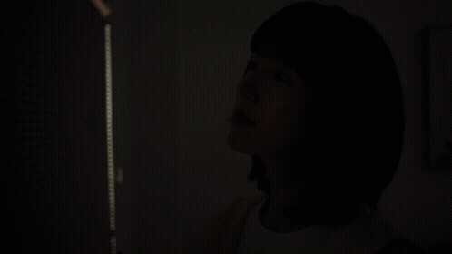 ツインハニカムシェードのイメージ