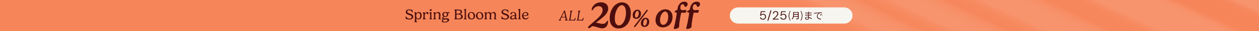 large offer snippet