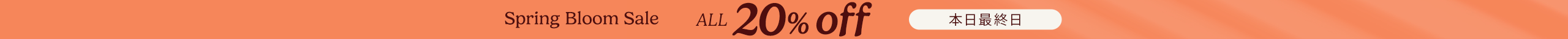 large offer snippet