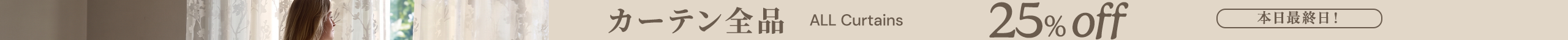 large offer snippet