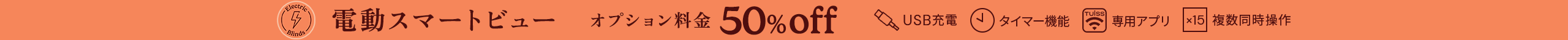 large offer snippet