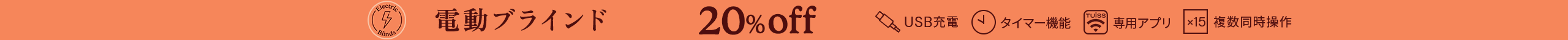 large offer snippet