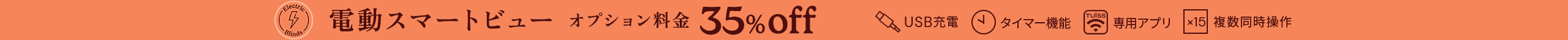 large offer snippet