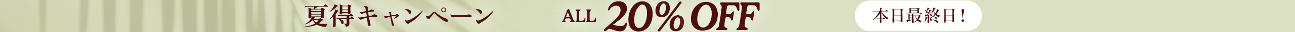 large offer snippet