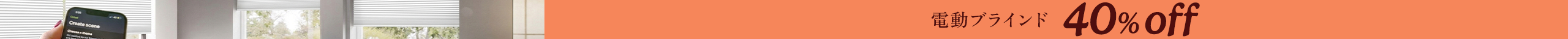 large offer snippet