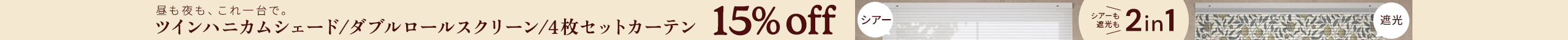 large offer snippet