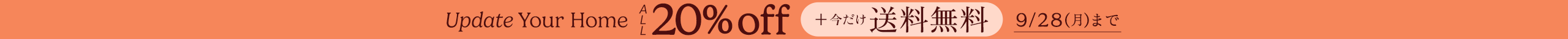 large offer snippet