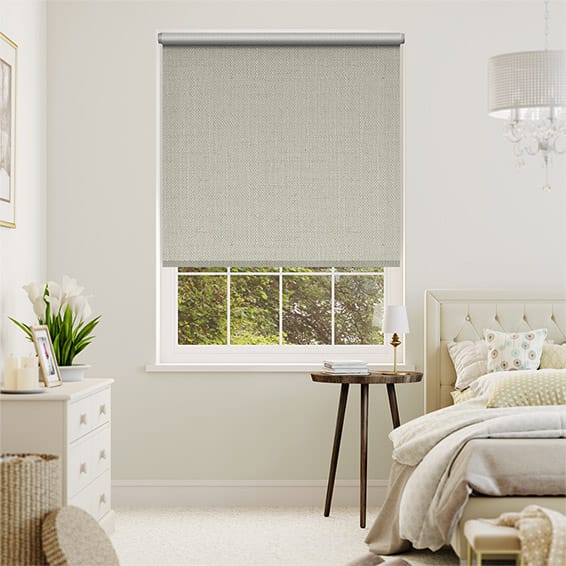 チョイス　パレオリネン　ビスコティ ロールスクリーン