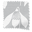 スノードロップ　ダヴグレー ロールスクリーン サンプルの写真